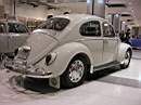 beetle10.JPG