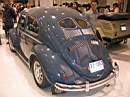 beetle16.JPG